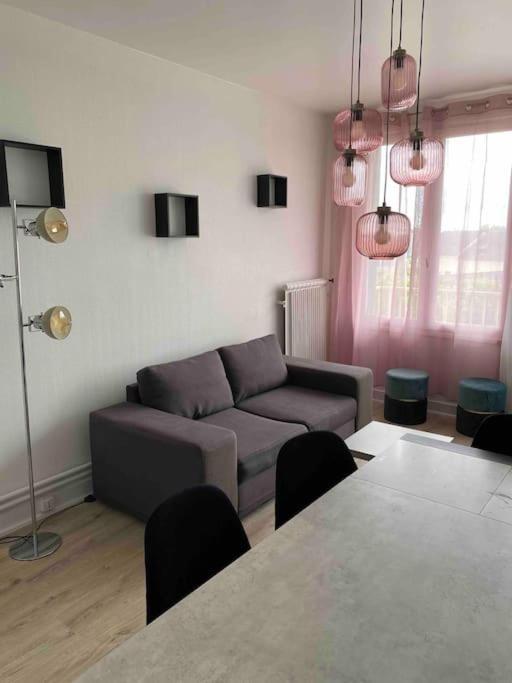 Bel Appartement Centre Ville De Vierzon Esterno foto